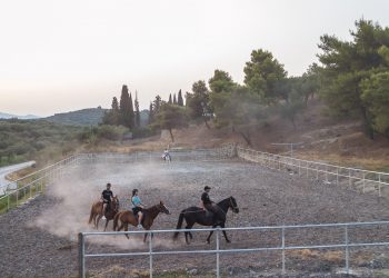 , Horse Riding Zakynthos Zante Yiannis Horses