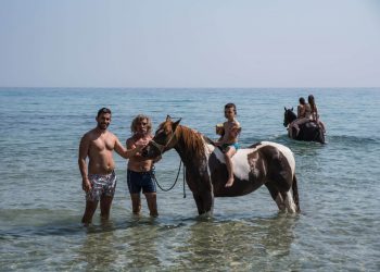 , Άλογα Ιππασία Ζάκυνθος Yianni&#8217;s Horses