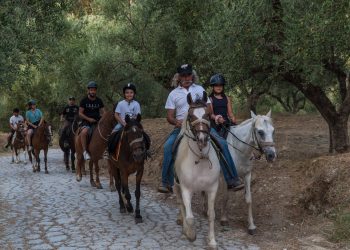 yiannis-horses-zakynthos-506430